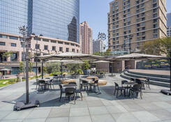 
                                	        One California Plaza
                                    